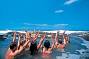 5 days 4 nights Cool Dingo Tour Ex Brisbane - Quad Share