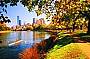 CITY CENTRAL BAY AND SURROUNDS ($260 PRICE PER CAR )