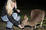 Hand Feed Kangaroos