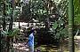 CAPE TRIBULATION DAY TOUR