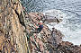 Freycinet Peninsula Abseiling & Walking Tour - departs November 2011