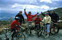 Mt Wellington can be conquered!