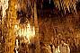 4 DAY TOUR- 