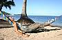Relaxinf Magnetic island