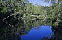 Noosa River and Everglades BBQ Lunch Cruise