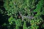 Rainforest Sky Walk - Coast's newest attraction