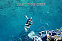 Standard Cruise incl. 1 Introductory Dive