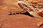 ROCK 2 WATER (6 days Alice Springs to Adelaide)