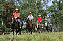 Kuranda Horse Ride