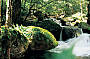 Dandenong National Park