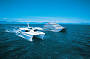 Big Cat Vessels