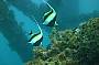 Rottnest Island Snorkelling Tours