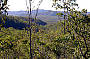 Outback Scenery