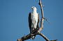 One Day Arnhemland Tour- Season starts May 