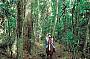 Full Day including Kuranda: Horse Riding/ATV Tour combination OR Horse Riding fullday OR ATV tour fullday