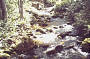 WILD RIVERS