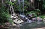 Fully guided rainforest walks