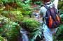 Wilderness Eco Safaris (Depart from Cairns)
