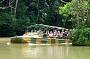 Army Duck Tour of the Rainforest