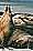 KANGAROO ISLAND ( 1 Per Person )