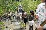 Mangrove coastal walk