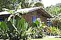 PK's Jungle Village at Cape Trib Beach