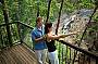 Return Skyrail Rainforest Cableway Experience - from Cairns and Northern Beaches