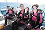 Private Cabin - Double Bed - 2 Day 1 Night Great Barrier Reef Dive and Snorkel Trip