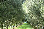 A PRIVATE Chef Led Journey Through The Mornington Peninsula (3-6 persons)