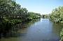 Dolphin Sanctuary Kayaking Tour AM
