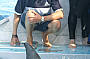 Dolphin Watch- Starts Sept 2011