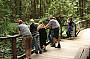 Guided rainforest walk