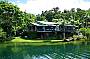 Enjoy afternoon tea at Lake Barrine Teahouse, overlooking the lake.