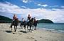 Cape Trib Horse Rides ( Afternoon )