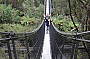 Swinging Bridge at Tahune Airwalk