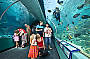 Reef HQ Tunnel