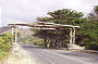 Great Ocean Road Day Tour with BBQ lunch