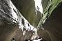 Carnarvon Gorge Outback Tour - Departs 14th May 2012 through to 15th Oct 2012