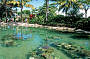 'Living Reef' Coral Lagoon