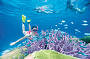 Snorkelling Agincourt