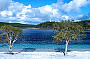 Lake Mckenzie