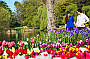 Floriade