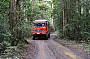 4WD Bus in the Rainforest