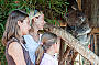 Cleland Wildlife Park