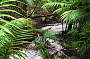 Woongoolba Creek