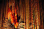 Jenolan Caves