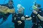 Introductory Diving