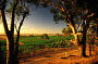 Yarra Valley Winery Tours (Yarra Valley pick up option)