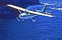 Maria Island 4 Day Guided Walk - Flight Option [Departs Nov - April each year]