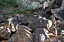 Flinders Ranges Explorer - 2 Day